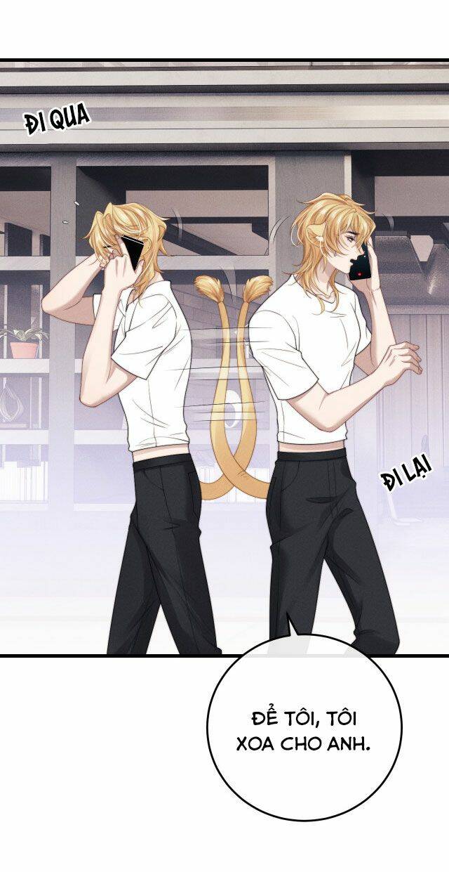 Chấp Sự Thỏ Cụp Tai - Chapter 13 - Page 13