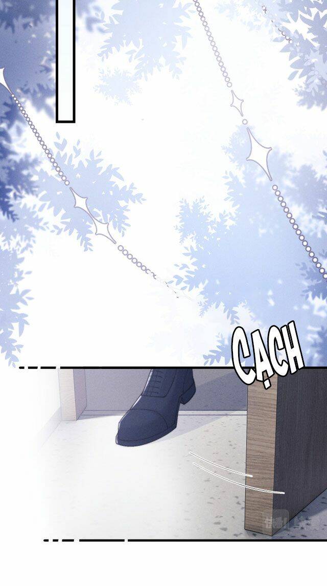 Chấp Sự Thỏ Cụp Tai - Chapter 13 - Page 19