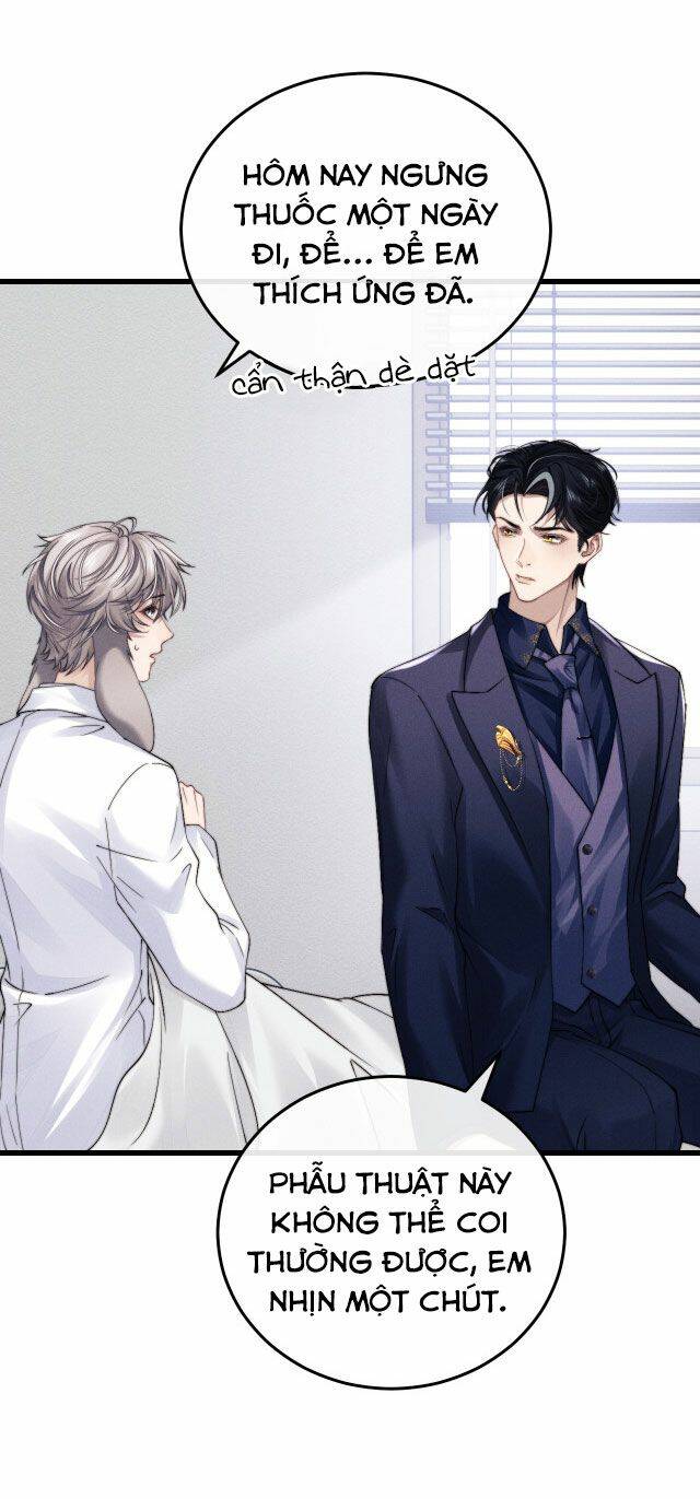 Chấp Sự Thỏ Cụp Tai - Chapter 13 - Page 24