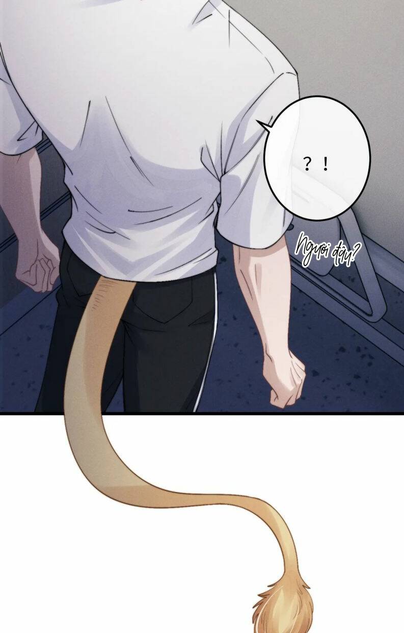 Chấp Sự Thỏ Cụp Tai - Chapter 14 - Page 43