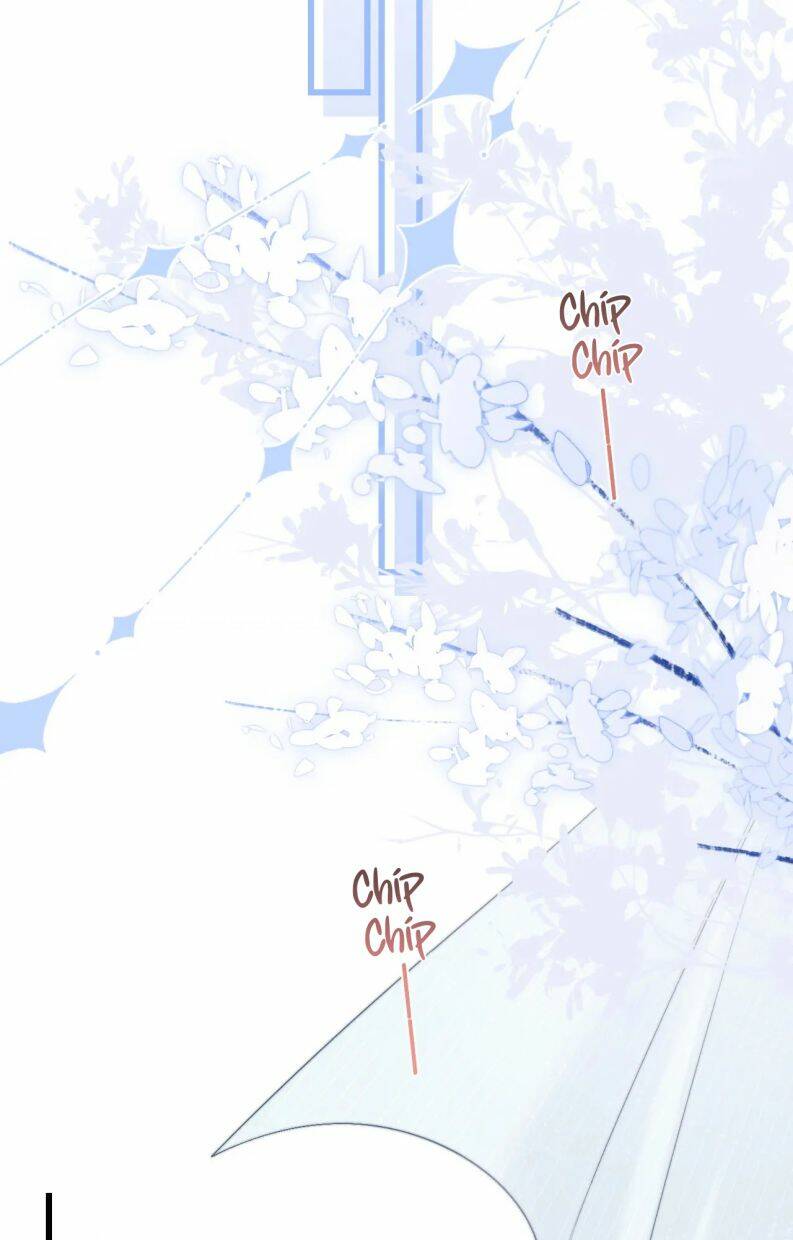 Chấp Sự Thỏ Cụp Tai - Chapter 15 - Page 9