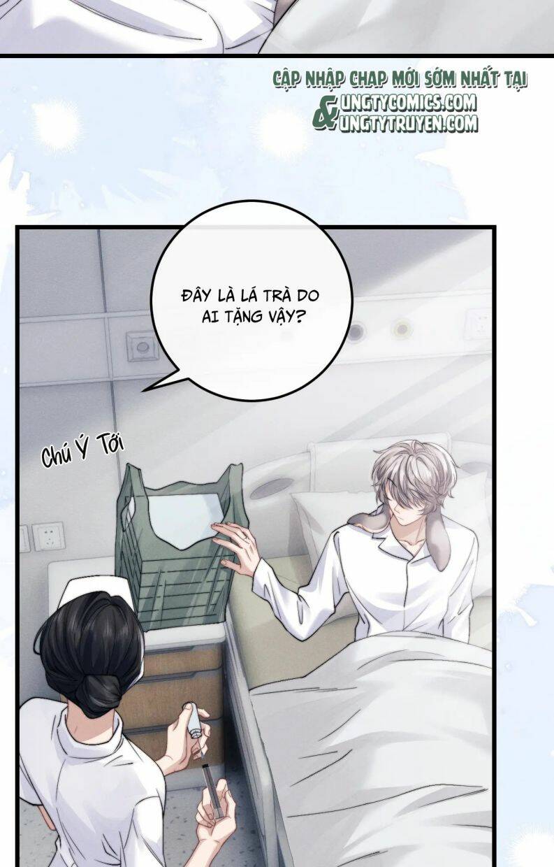 Chấp Sự Thỏ Cụp Tai - Chapter 15 - Page 12