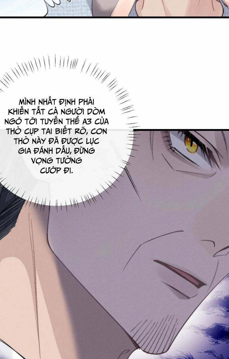 Chấp Sự Thỏ Cụp Tai - Chapter 16 - Page 26