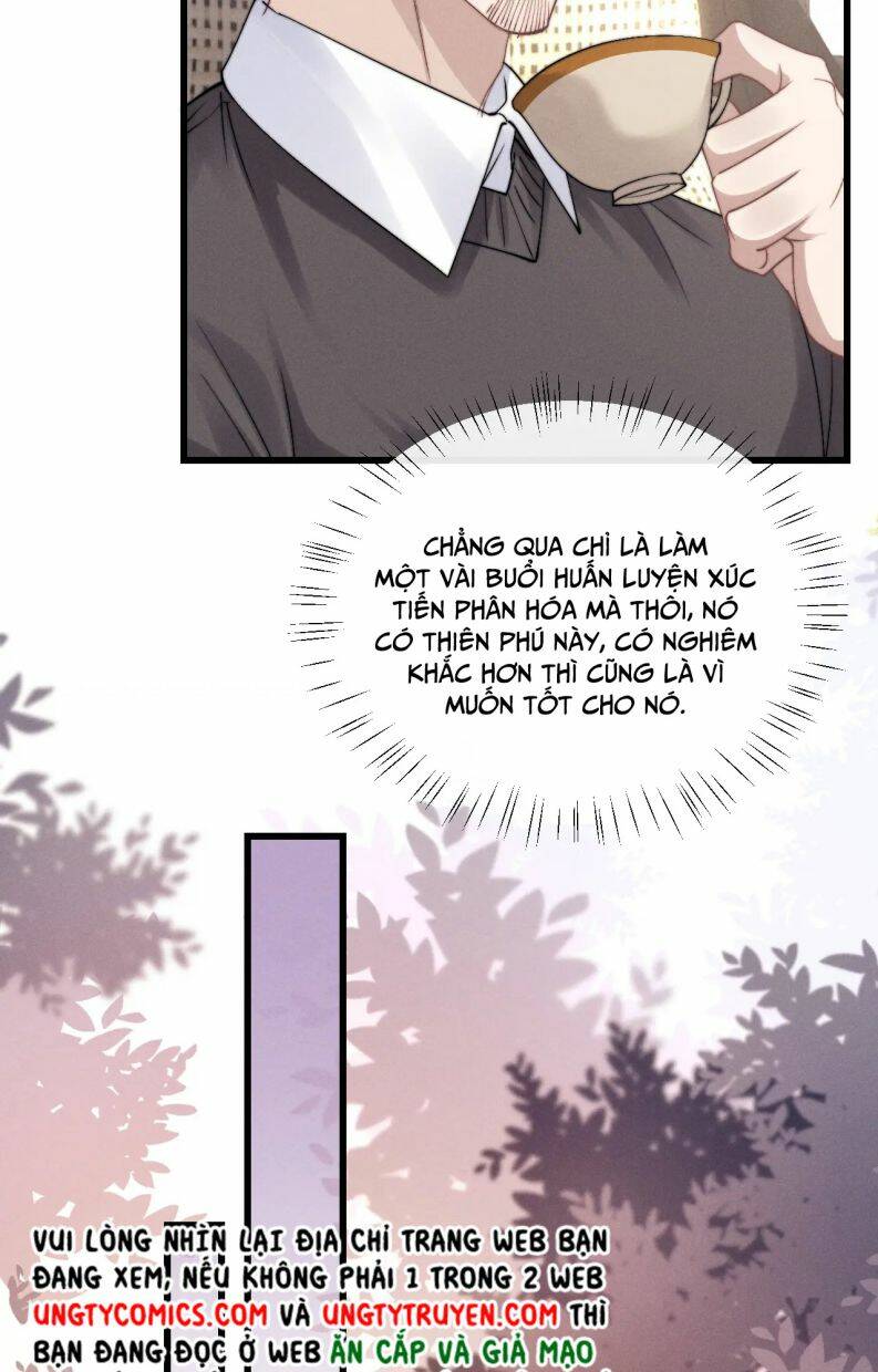 Chấp Sự Thỏ Cụp Tai - Chapter 16 - Page 33