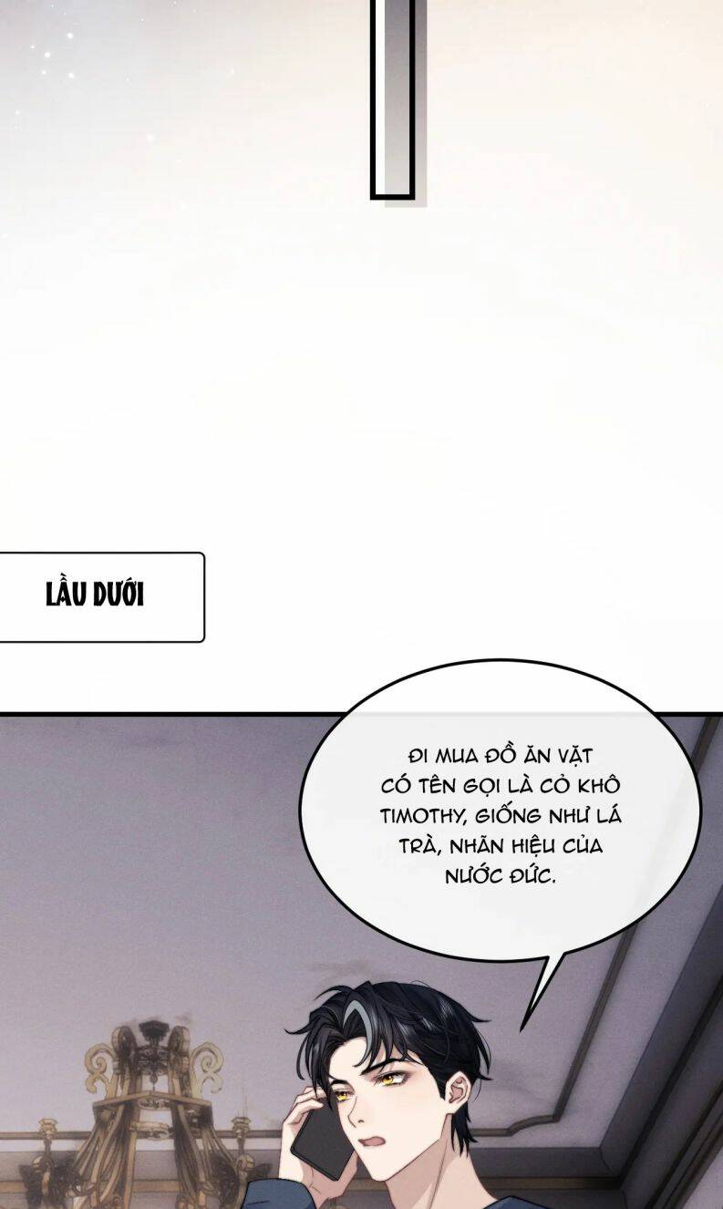 Chấp Sự Thỏ Cụp Tai - Chapter 16 - Page 41