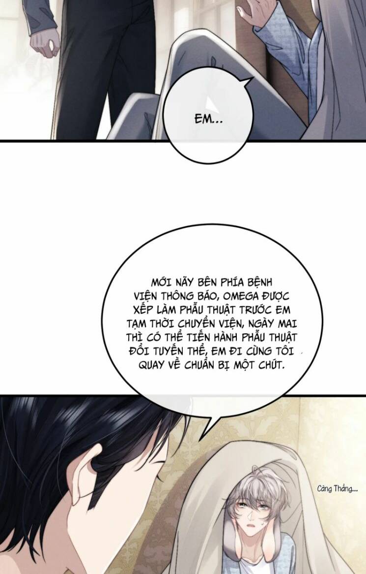 Chấp Sự Thỏ Cụp Tai - Chapter 17 - Page 32