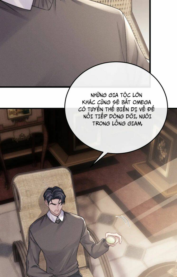 Chấp Sự Thỏ Cụp Tai - Chapter 17 - Page 5