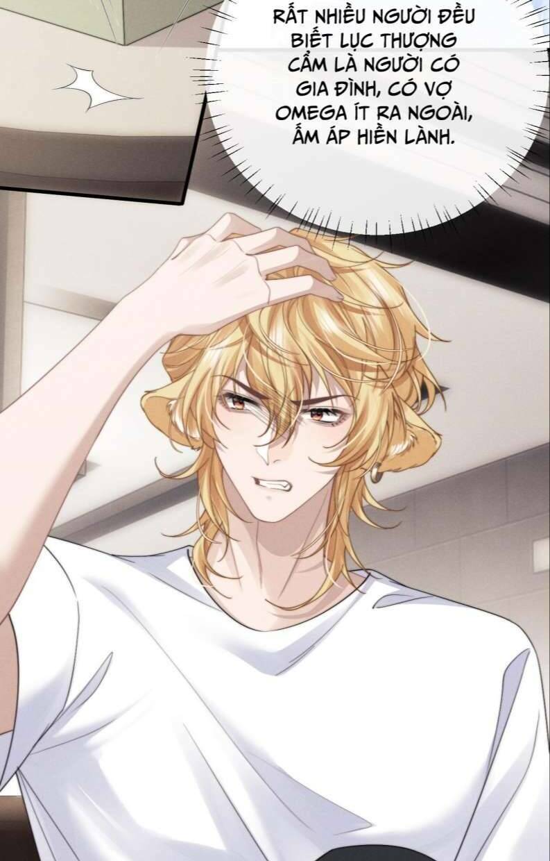 Chấp Sự Thỏ Cụp Tai - Chapter 18 - Page 20