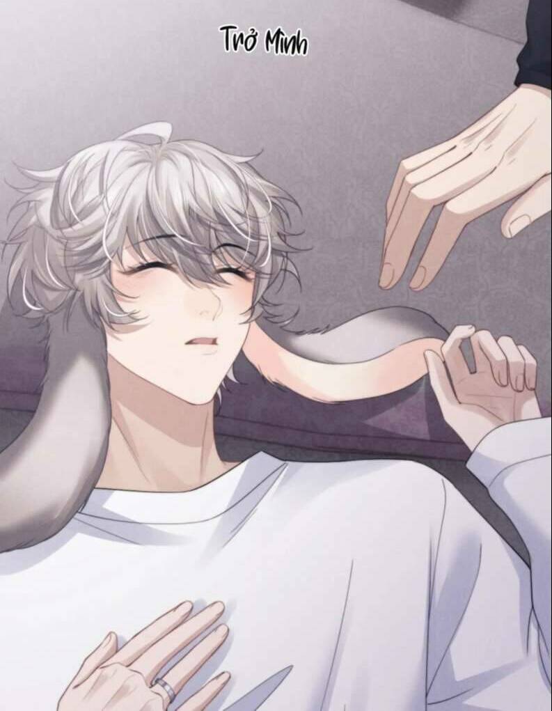 Chấp Sự Thỏ Cụp Tai - Chapter 19 - Page 28