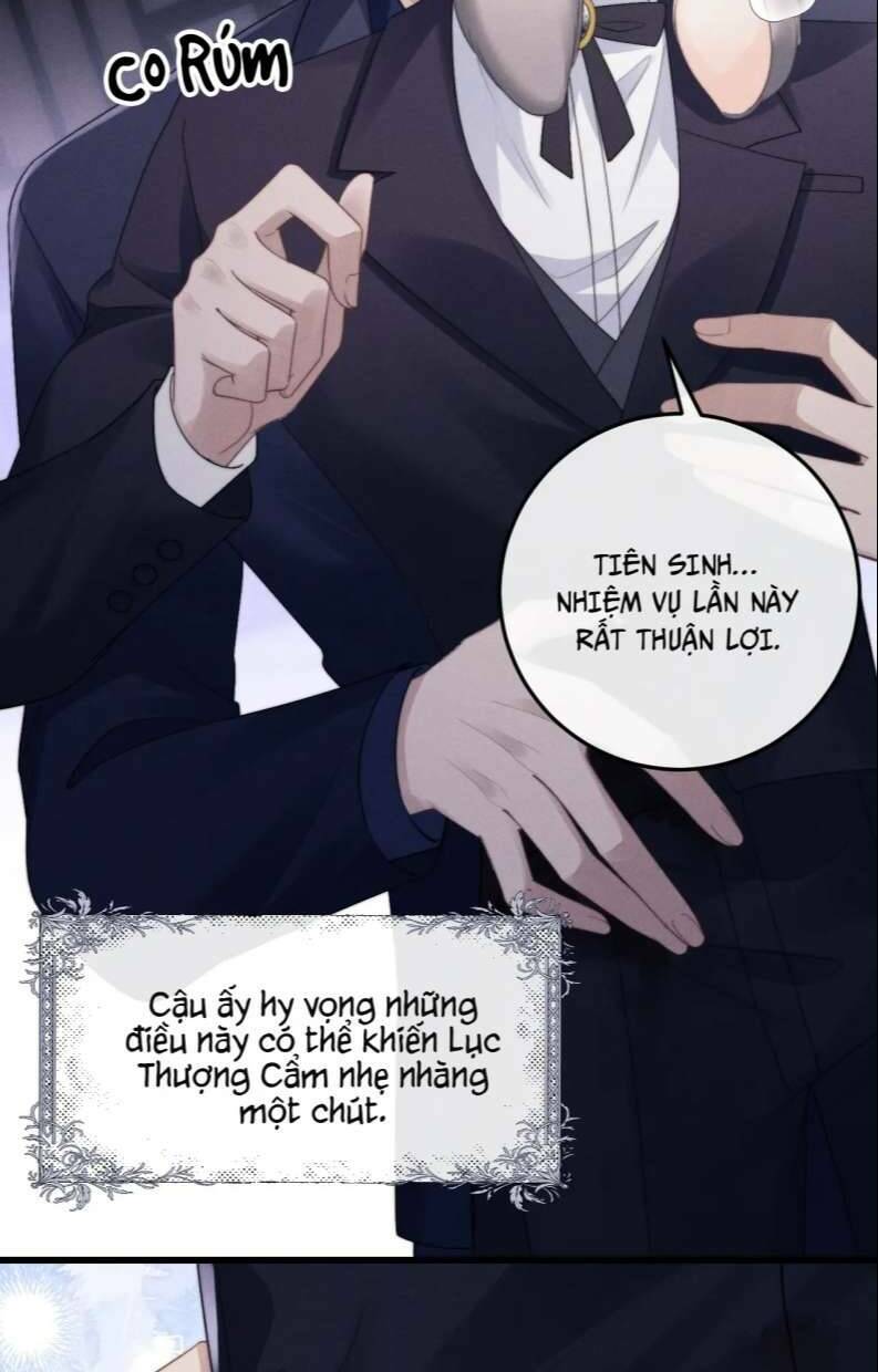 Chấp Sự Thỏ Cụp Tai - Chapter 19 - Page 7