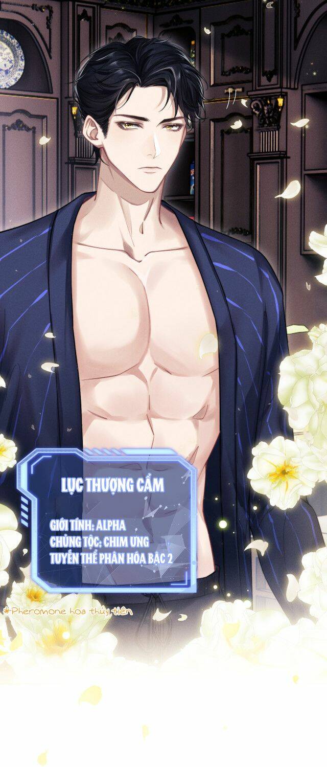 Chấp Sự Thỏ Cụp Tai - Chapter 2 - Page 19