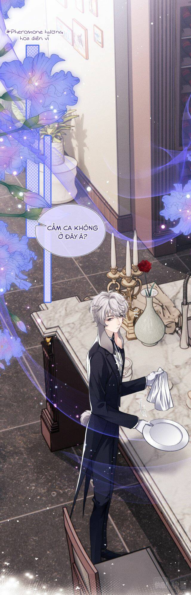 Chấp Sự Thỏ Cụp Tai - Chapter 2 - Page 34