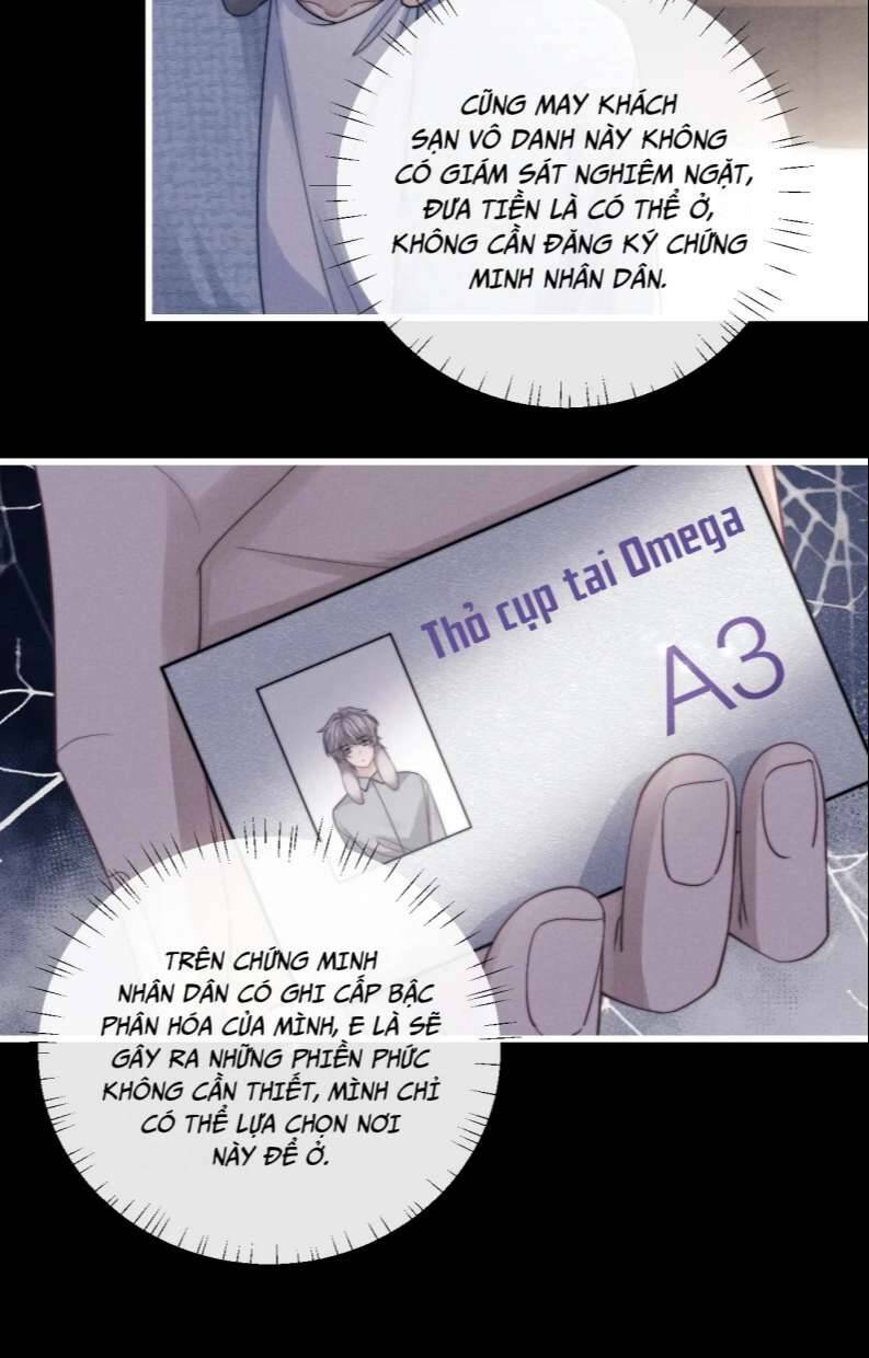 Chấp Sự Thỏ Cụp Tai - Chapter 20 - Page 9