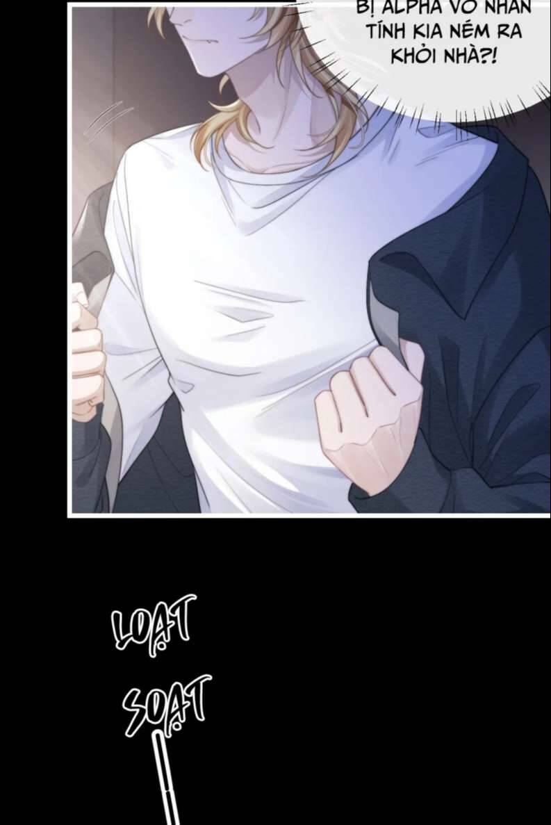 Chấp Sự Thỏ Cụp Tai - Chapter 23 - Page 12