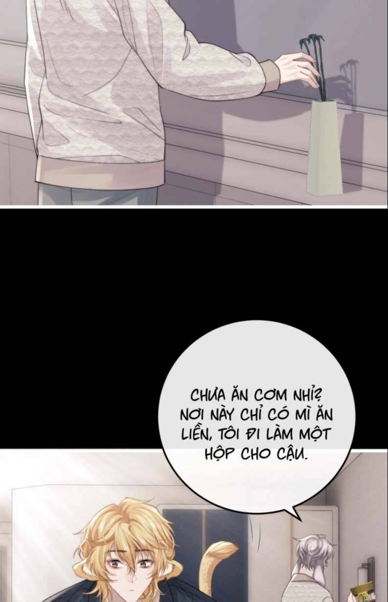 Chấp Sự Thỏ Cụp Tai - Chapter 23 - Page 27