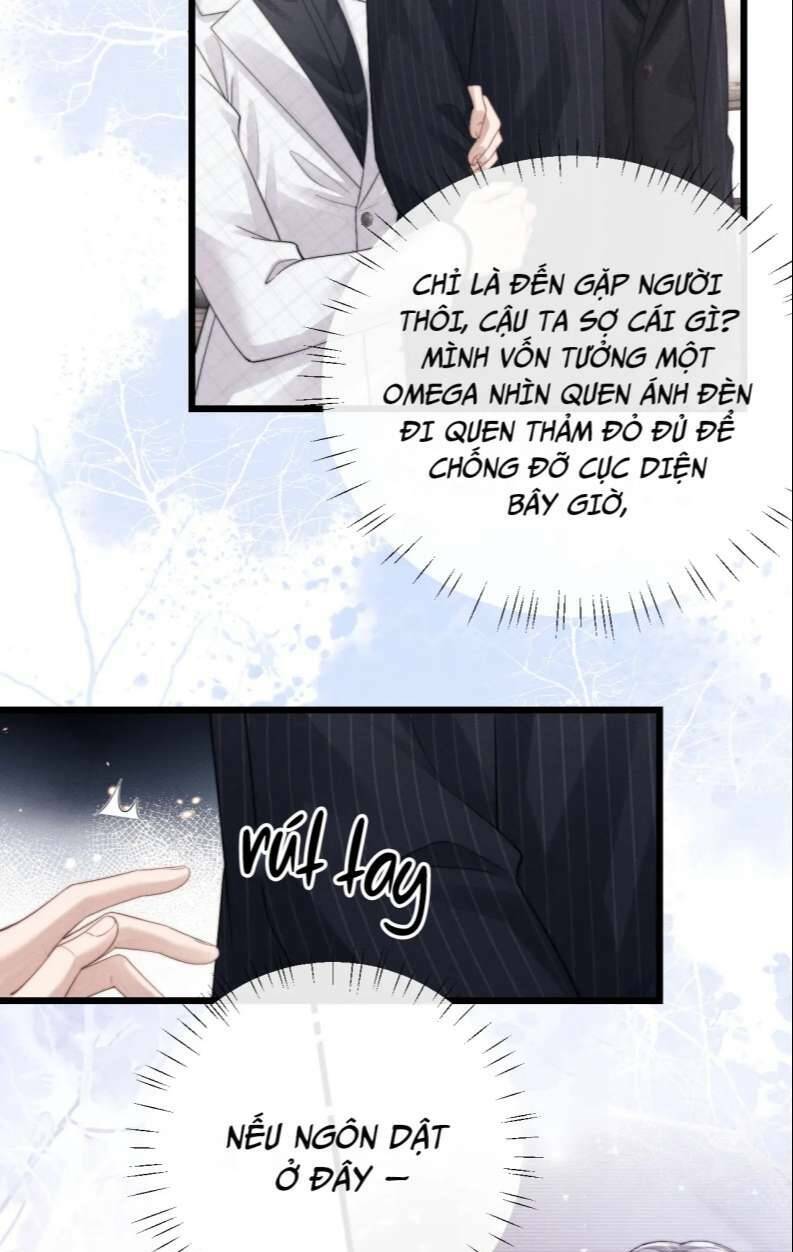 Chấp Sự Thỏ Cụp Tai - Chapter 24 - Page 11