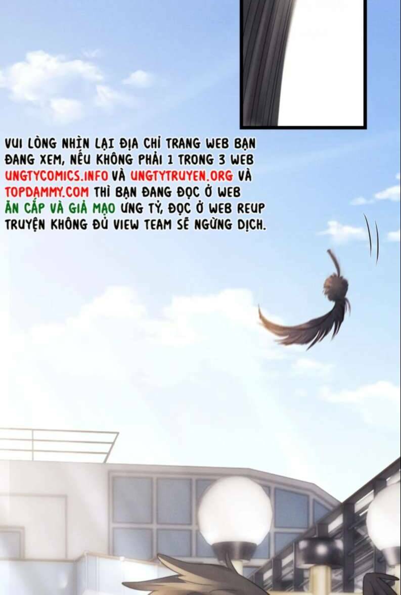 Chấp Sự Thỏ Cụp Tai - Chapter 24 - Page 16