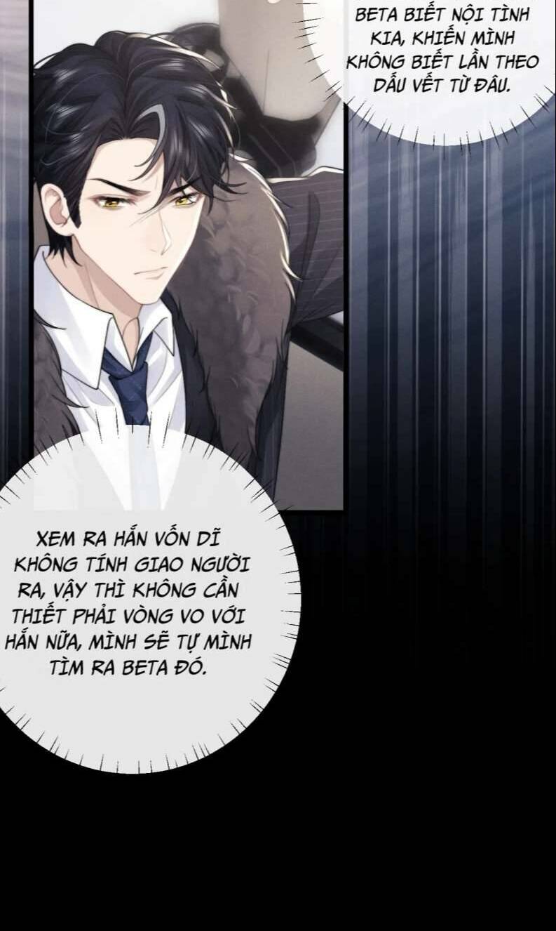 Chấp Sự Thỏ Cụp Tai - Chapter 25 - Page 23