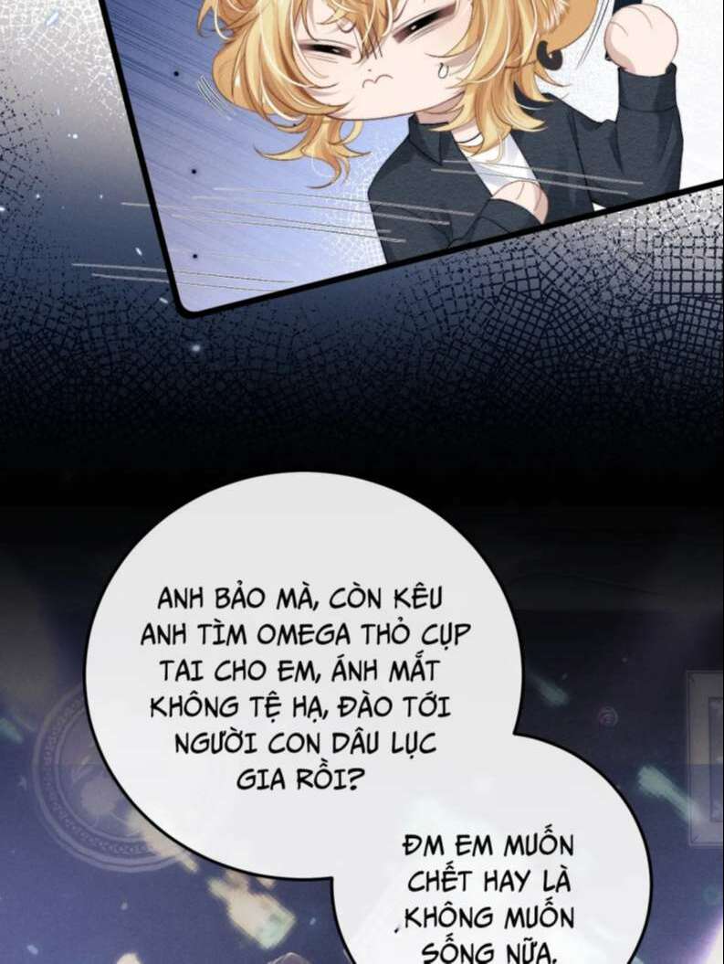 Chấp Sự Thỏ Cụp Tai - Chapter 28 - Page 15