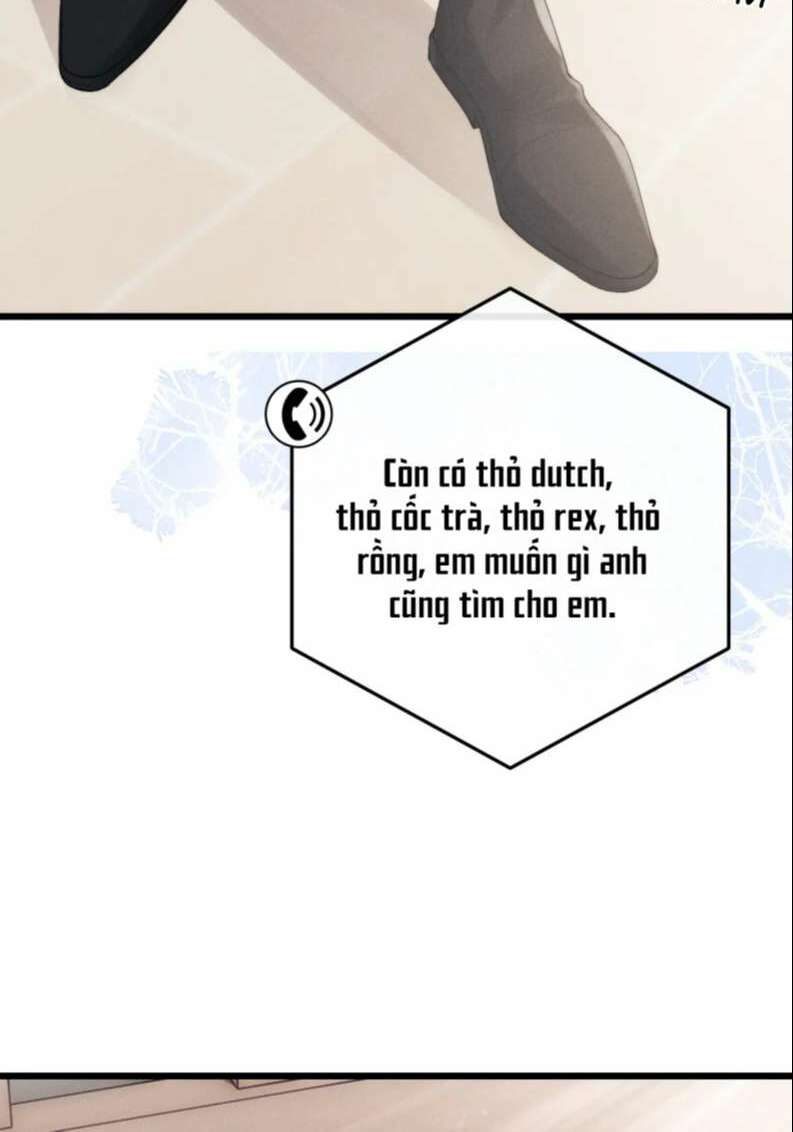 Chấp Sự Thỏ Cụp Tai - Chapter 28 - Page 19