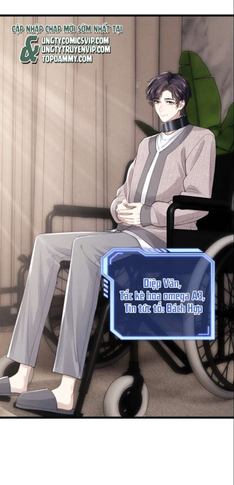 Chấp Sự Thỏ Cụp Tai - Chapter 30 - Page 19