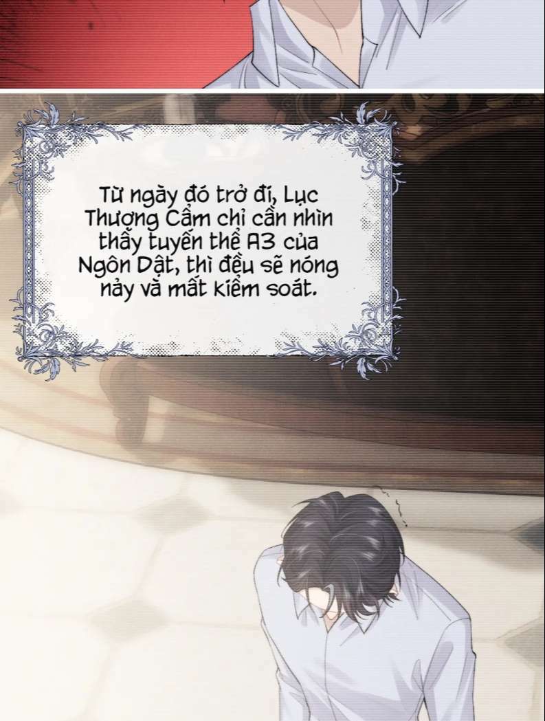 Chấp Sự Thỏ Cụp Tai - Chapter 30 - Page 36