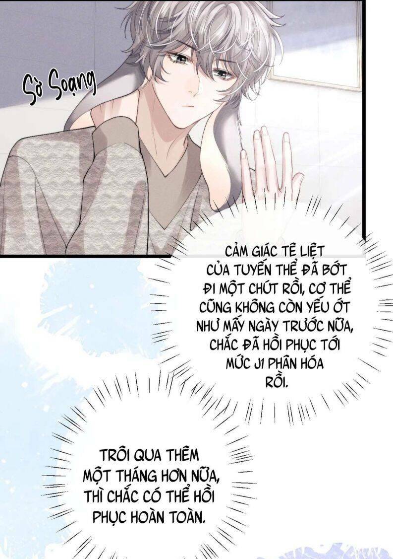 Chấp Sự Thỏ Cụp Tai - Chapter 33 - Page 31