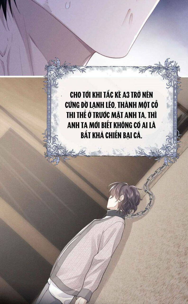 Chấp Sự Thỏ Cụp Tai - Chapter 33 - Page 6