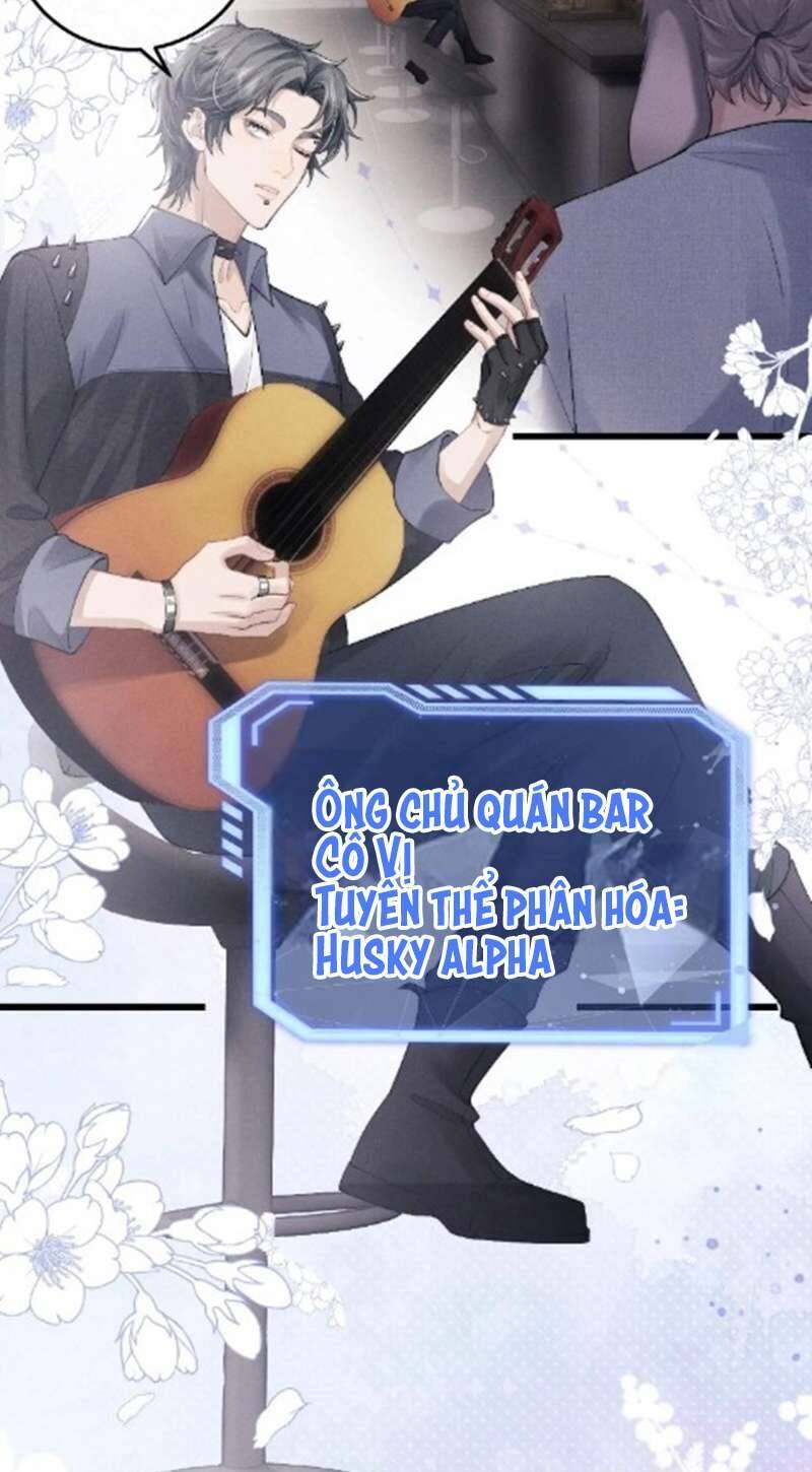 Chấp Sự Thỏ Cụp Tai - Chapter 35 - Page 19