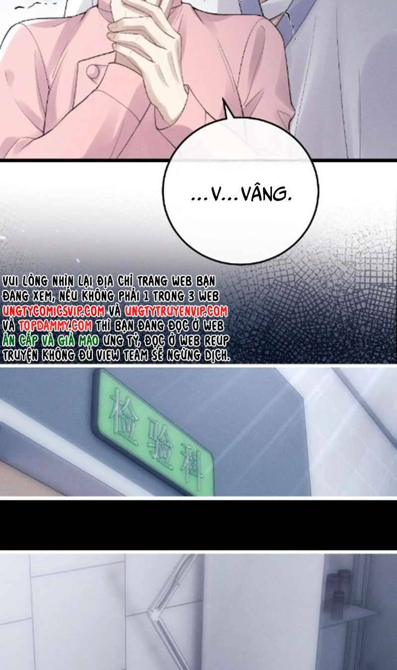 Chấp Sự Thỏ Cụp Tai - Chapter 35 - Page 5