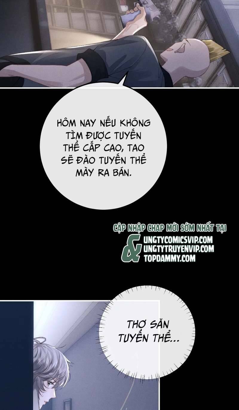 Chấp Sự Thỏ Cụp Tai - Chapter 37 - Page 18