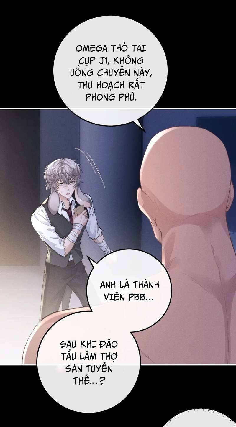 Chấp Sự Thỏ Cụp Tai - Chapter 37 - Page 41