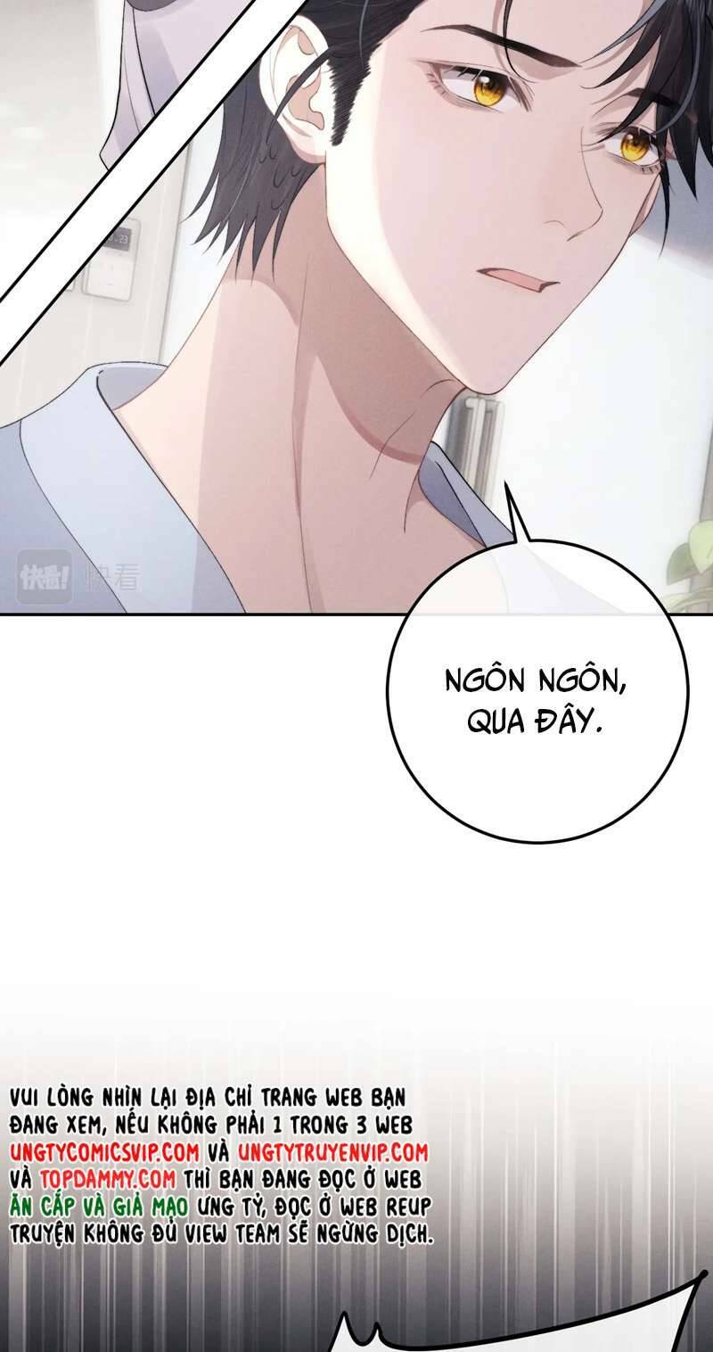 Chấp Sự Thỏ Cụp Tai - Chapter 39 - Page 31