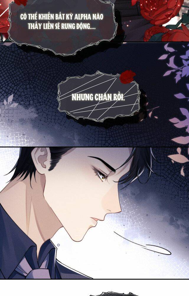 Chấp Sự Thỏ Cụp Tai - Chapter 4 - Page 31