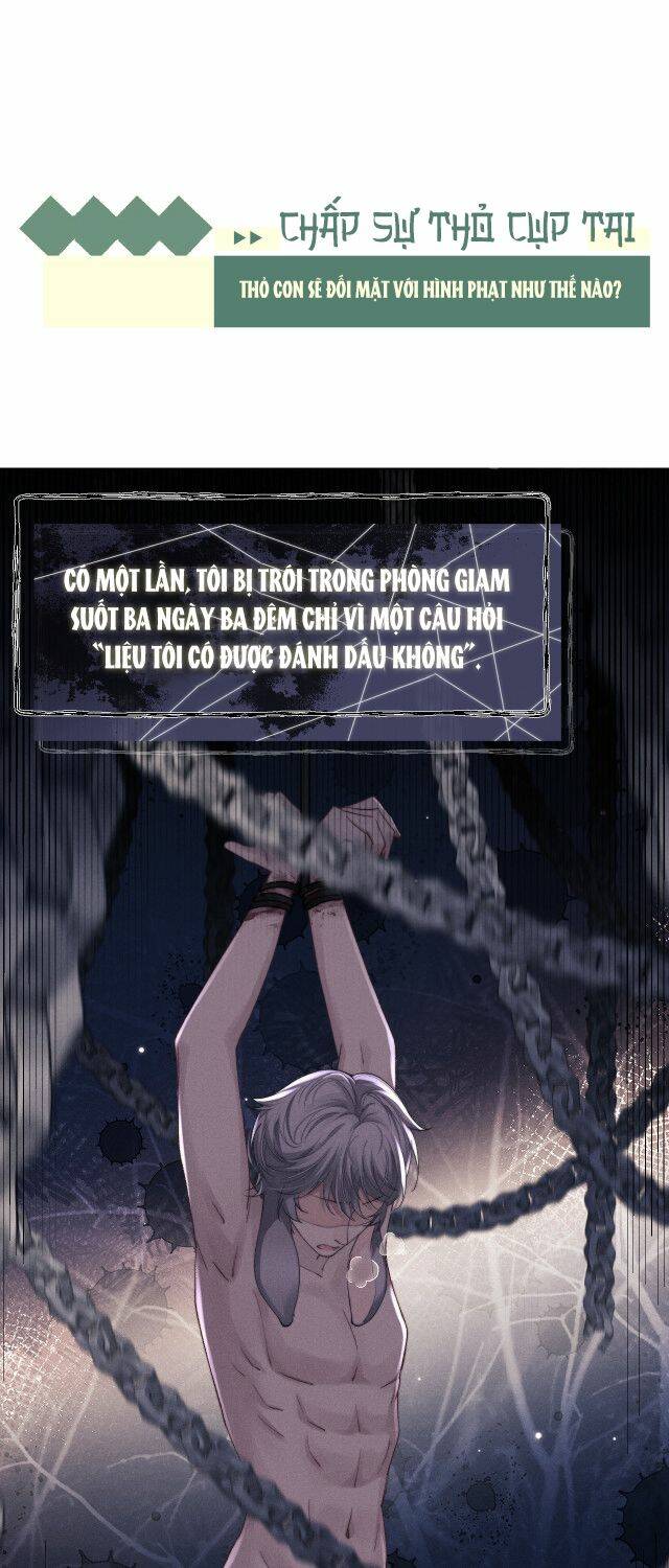 Chấp Sự Thỏ Cụp Tai - Chapter 4 - Page 40