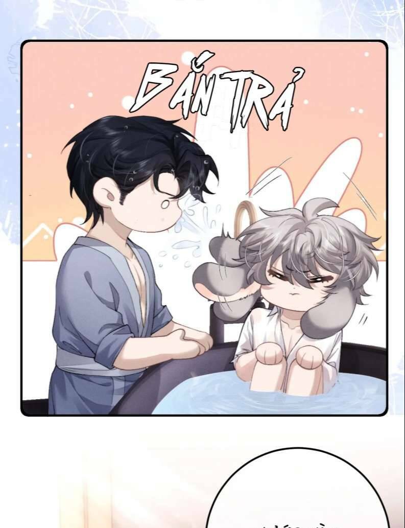 Chấp Sự Thỏ Cụp Tai - Chapter 41 - Page 16