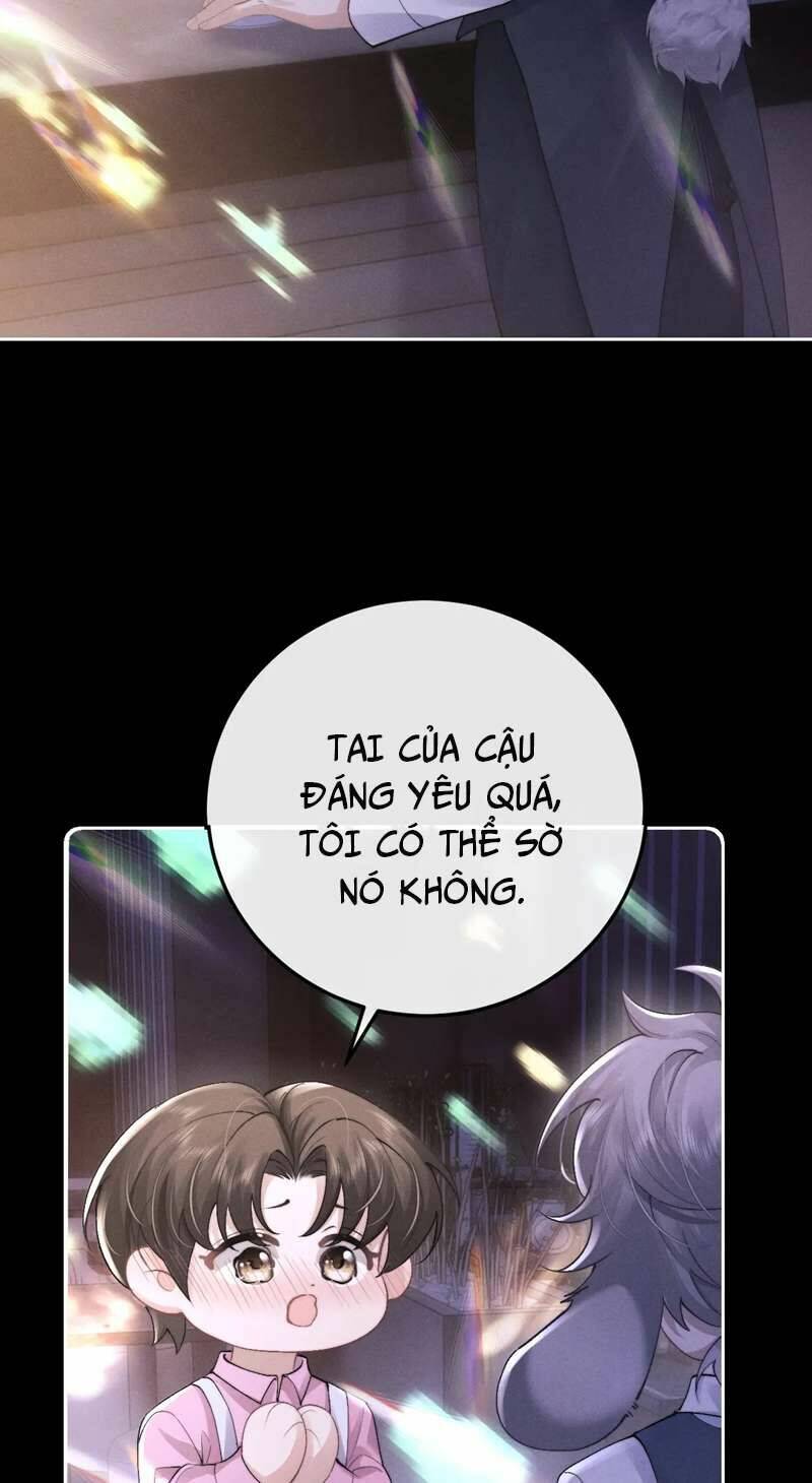Chấp Sự Thỏ Cụp Tai - Chapter 44 - Page 12