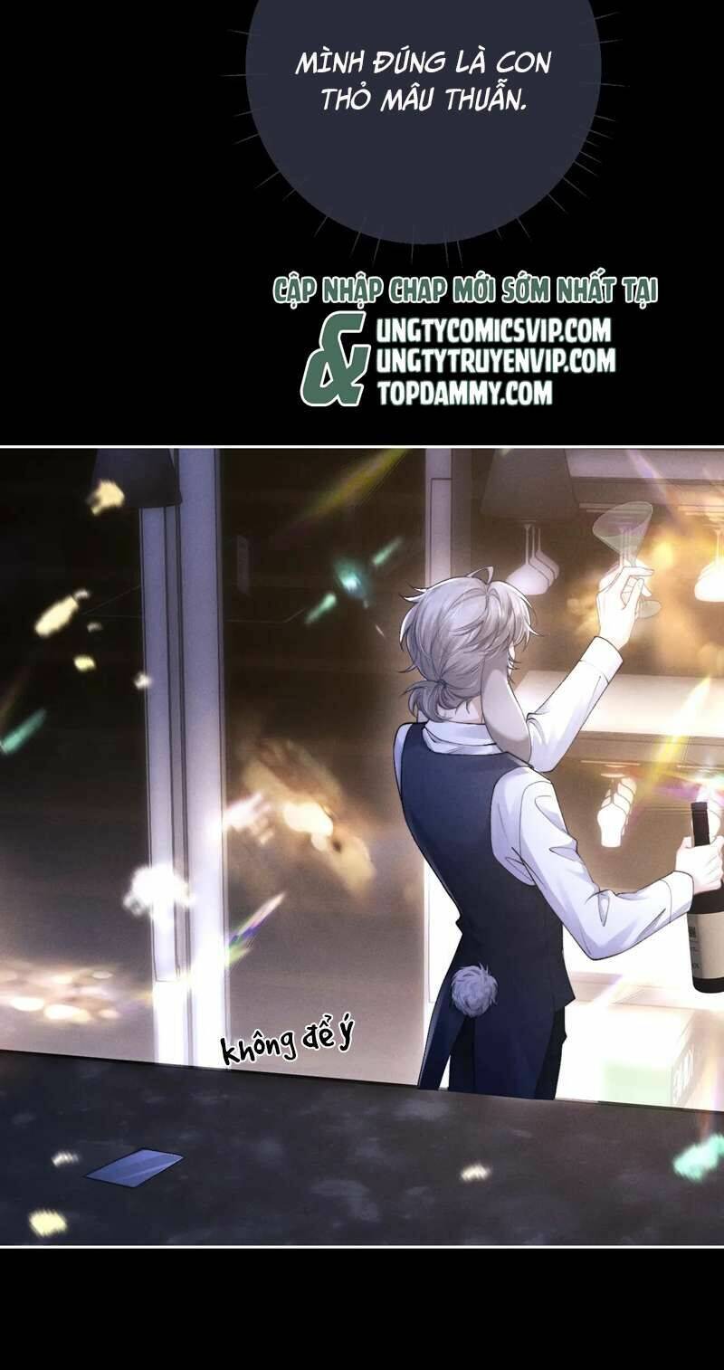 Chấp Sự Thỏ Cụp Tai - Chapter 45 - Page 9