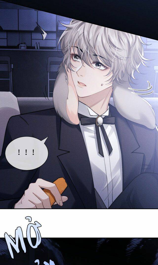 Chấp Sự Thỏ Cụp Tai - Chapter 5 - Page 19