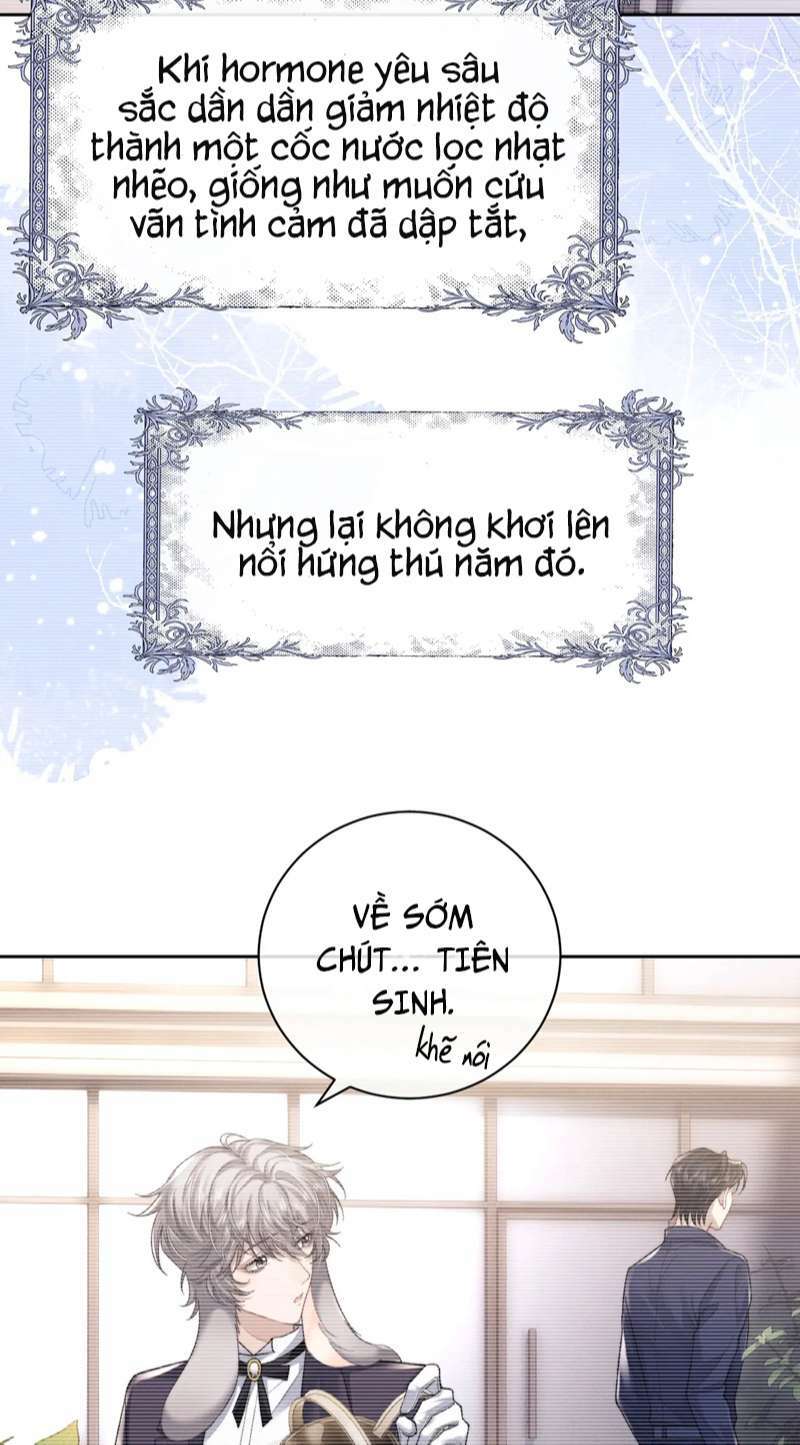 Chấp Sự Thỏ Cụp Tai - Chapter 52 - Page 12