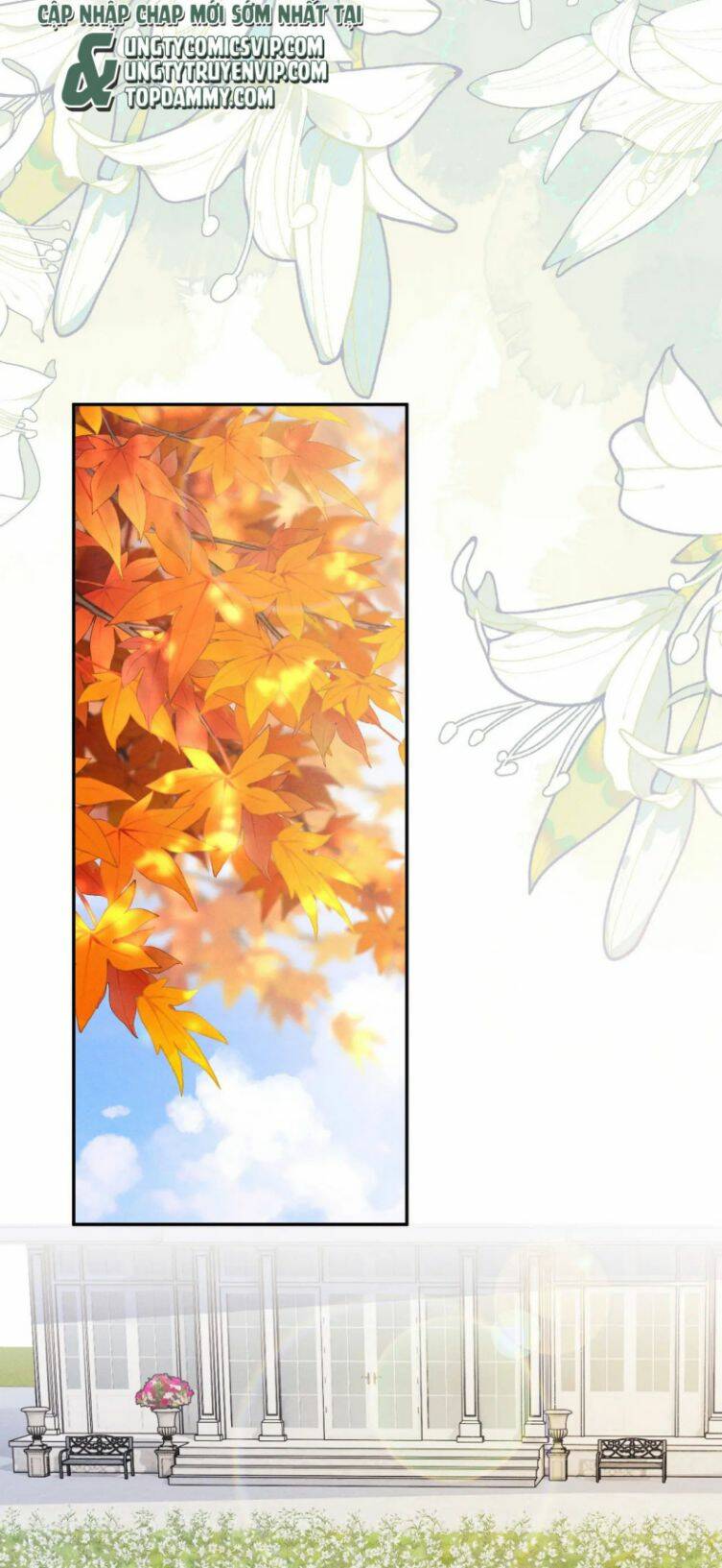 Chấp Sự Thỏ Cụp Tai - Chapter 55 - Page 24