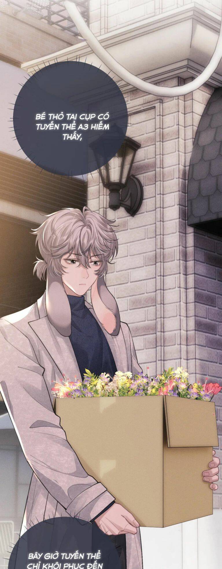 Chấp Sự Thỏ Cụp Tai - Chapter 59 - Page 22