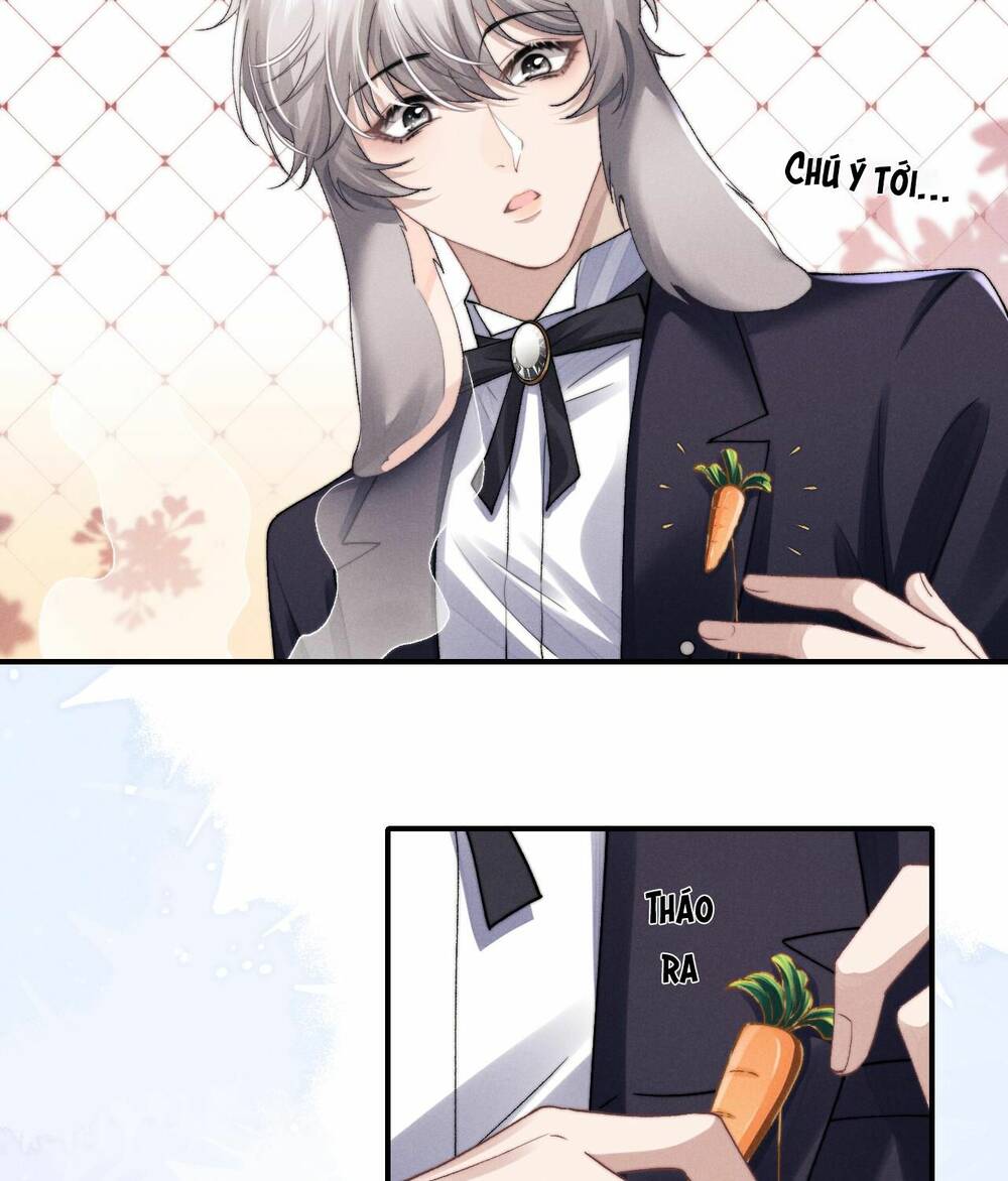 Chấp Sự Thỏ Cụp Tai - Chapter 6 - Page 4