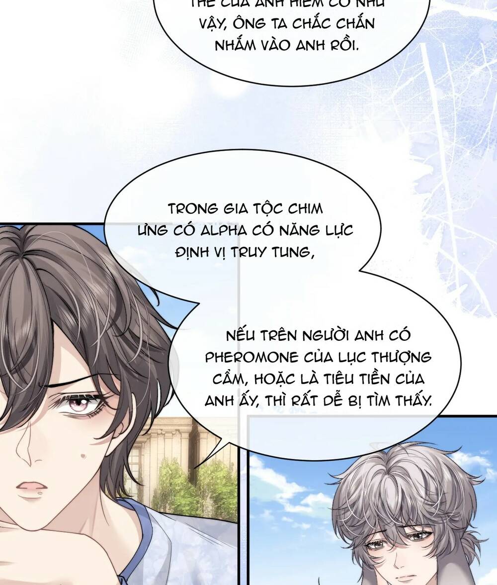 Chấp Sự Thỏ Cụp Tai - Chapter 66 - Page 44