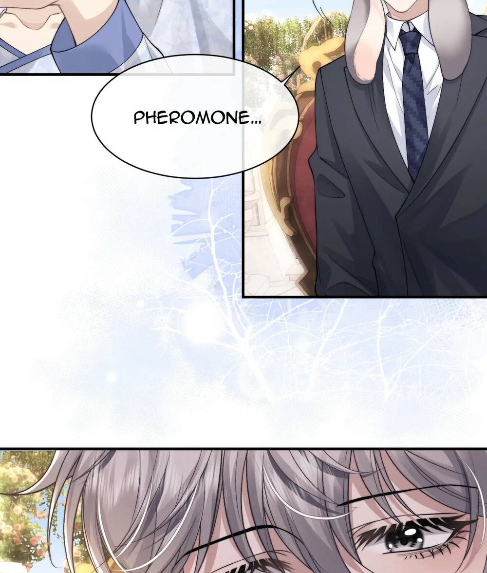 Chấp Sự Thỏ Cụp Tai - Chapter 66 - Page 45