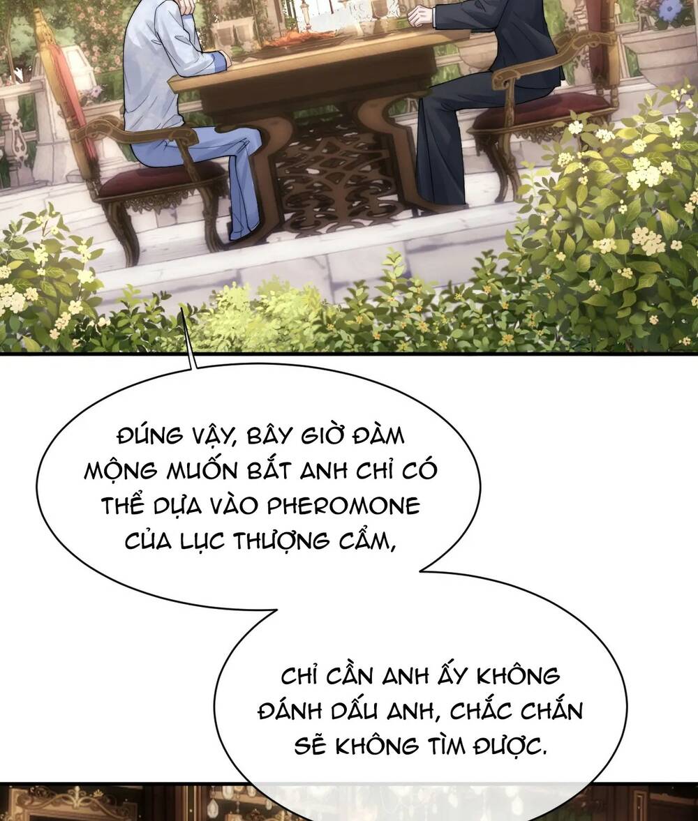 Chấp Sự Thỏ Cụp Tai - Chapter 66 - Page 47