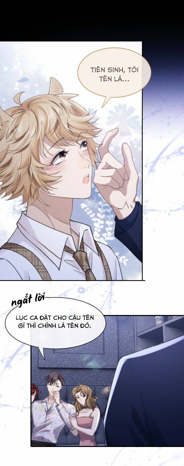 Chấp Sự Thỏ Cụp Tai - Chapter 7 - Page 30