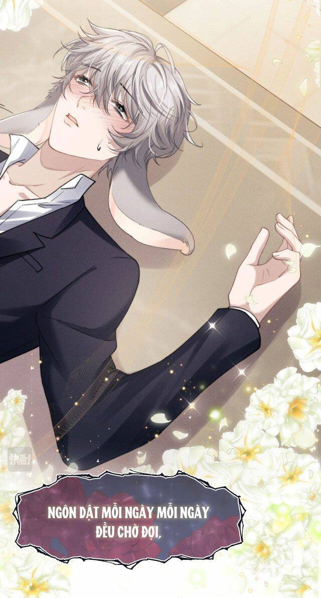 Chấp Sự Thỏ Cụp Tai - Chapter 7 - Page 4