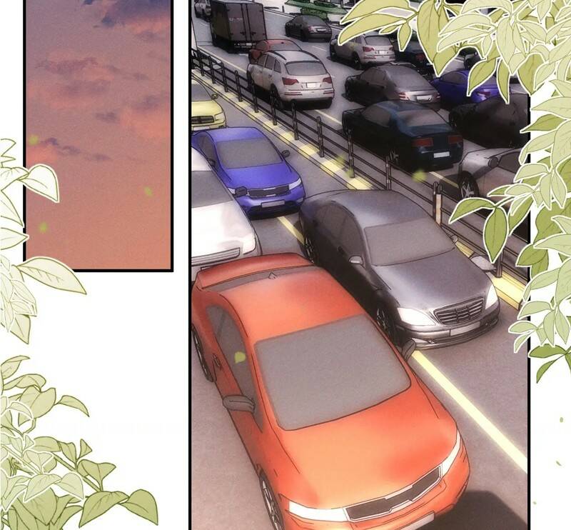 Chấp Sự Thỏ Cụp Tai - Chapter 79 - Page 50