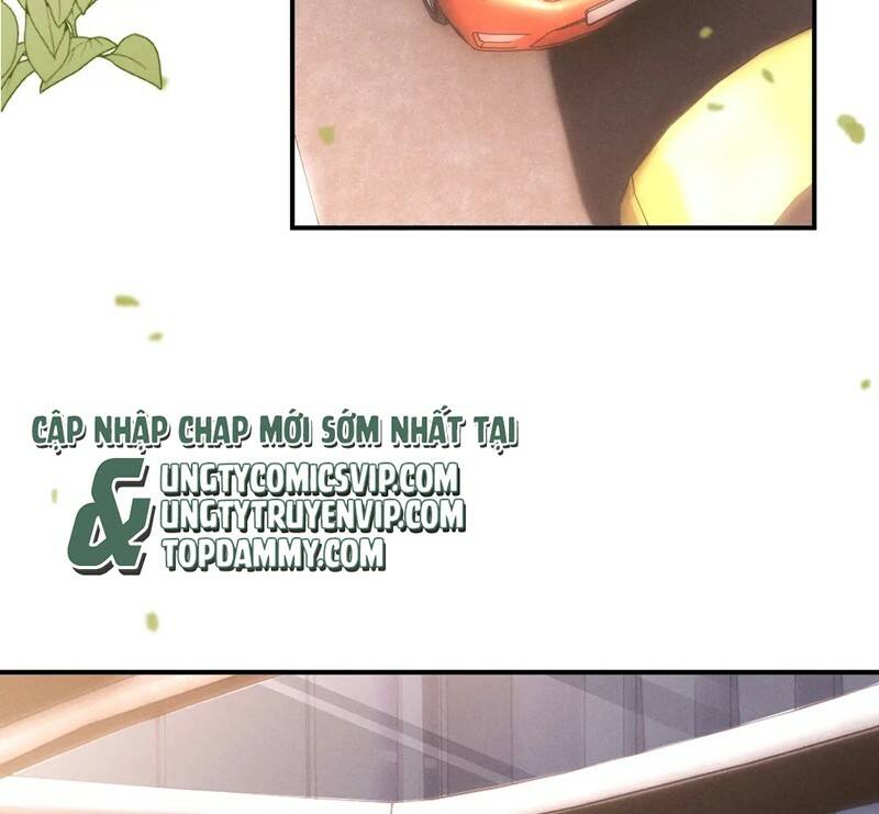 Chấp Sự Thỏ Cụp Tai - Chapter 79 - Page 51